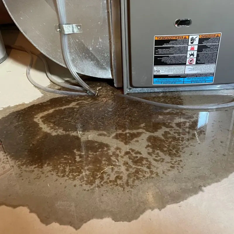 Pipe Burst and Leak Restoration in Jefferson County, ID